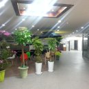 오픈골프연습장(실외) 이미지