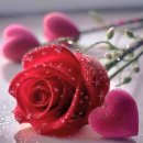 The way we were - gesterprin / Scorpions - Still Loving You 이미지