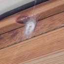 불암초교 이미지