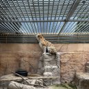 대전아쿠아리움 이미지