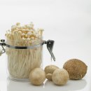 팽이버섯은 원래 하얀색이 아니다?! 팽이버섯의 영양과 잘 고르는 방법 이미지