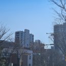 이매촌금강아파트.코오롱아파트.동부아파트 이미지