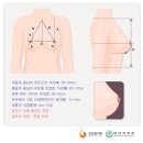 정부 운영 국가건강정보포털에 ‘아름다운 여성 가슴 조건’ 논란 이미지