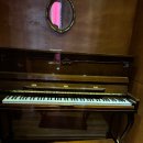 비바체음악학원 | 대전실용음악학원 KW 활기찬 합주와 레슨으로 성장한 후기