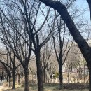 몽멍이들 이미지