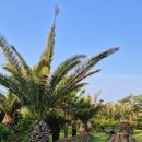 노을정원 풀빌라 이미지