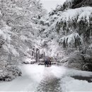 산업로1(북) 이미지