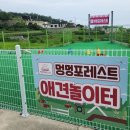 멍멍아 여기어때 네이버블로그