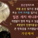 장기동 고창초등학교 앞 이미지