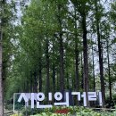 메타세콰이어 화장실 이미지