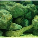 아쿠아플라넷 제주 이미지