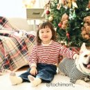 브리즈성형외과의원 이미지