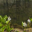 건의령농장 이미지