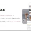 아이콘 동물병원 이미지