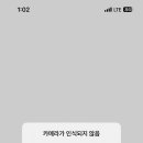 연어의진심연심 이미지