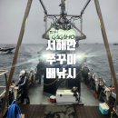 계룡호스릴-11 | 서해안 쭈꾸미 당암포구 배낚시 태안 가가호