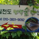 칠천도편백숲 이미지