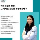 공덕 건강한 동물병원 | 마포구 공덕동 동물병원 건강한동물병원 진료시간 접근성 이용후기