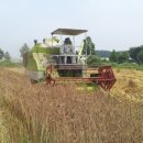 신토불이 이미지