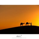 심상의 풍경 이미지