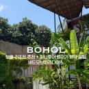 필리핀버드 | 추천 + 하나투어 최저가 예약 꿀팁 초록초록한 독채 감성에 친절함까지 완벽했던 '버드 오브 파라다이스'