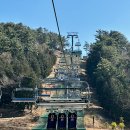 통영루지 | 스카이라인 루지 통영 탑승 후기ㅣ통영여행 필수코스