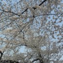 영복여자고등학교 이미지