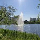 상동호수공원 이미지