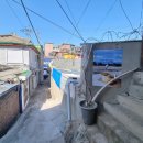 스노우즈 이미지