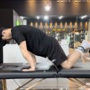 MSL PT 이미지