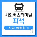 티머니포항버스