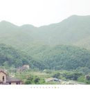 하얀나무펜션 이미지