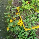 산속에아침 이미지