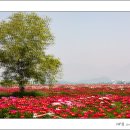 강나루 - 광진구 아차산로57길 5 | 강나루