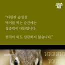 다람쥐가 이미지