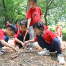 큰다우리발도르프어린이집프어린이집 햇살, 숲반 열두번째 도덕산 산행이야기~(2024.06.28) 이미지