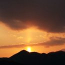 힘찬농장 이미지