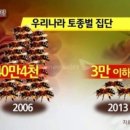 충남양봉산업