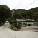 팜스퀘어 하늘타리 이미지