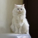 난향동-13 이미지