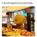 동의문화사 | W5 : 대전 웨딩홀 최종 후보 2곳! ICC호텔 vs 루이비스 견적 비교 (27년 상반기, 계약 O)