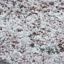 강우량측정 이미지