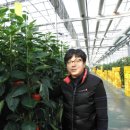 박정식농장 이미지