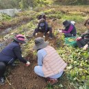 만수4동 행정복지센터 이미지