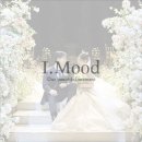 펠리체빈 이미지