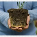 효성메디칼약국 이미지