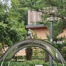 일자산공원 유아숲체험원 이미지