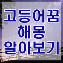 고등어잡는꿈 고등어먹는꿈 등 고등어 꿈해몽 총정리 이미지