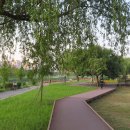 안양천 산책로 이미지