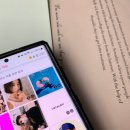 주니 퍼니 이미지